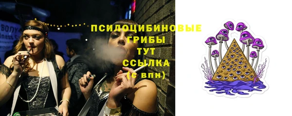 меф Горняк