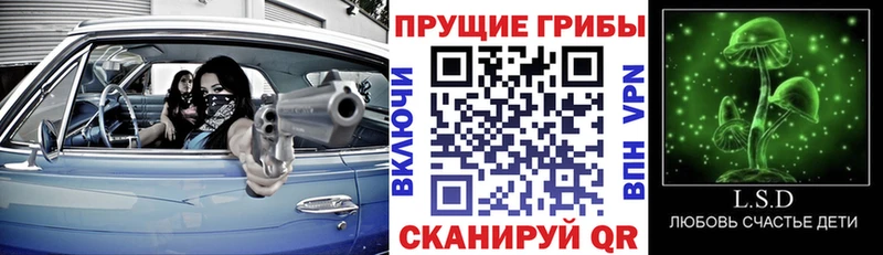 площадка состав  Иркутск  Галлюциногенные грибы мухоморы 